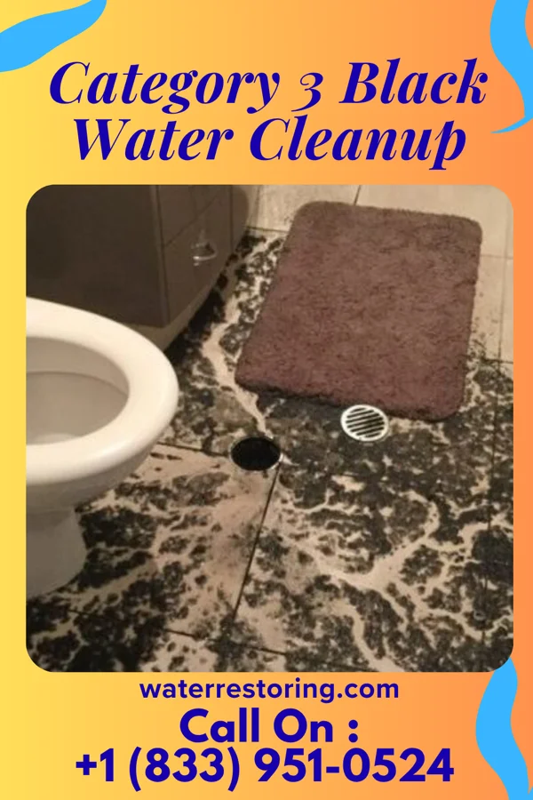 Category 3 Black Water Cleanup in Fallis, OK